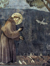 Giotto. San Francisco exhorta a las aves